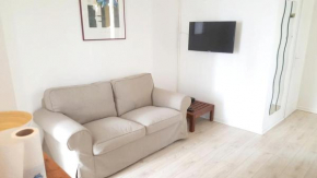 Appartement moderne à Rosny-sous-Bois, 38 m² avec vue